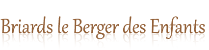 www.briards-le-berger-des-enfants.de